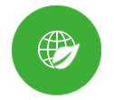 Web design and development
