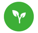 Web design and development